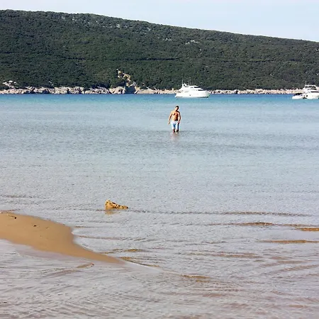 With Parking Space Lopar, Rab - 23736